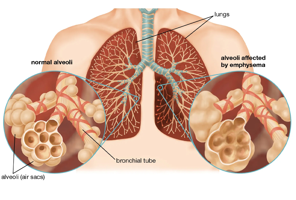 best hospital in jaipur|Gadhwal Heart & General Hospital