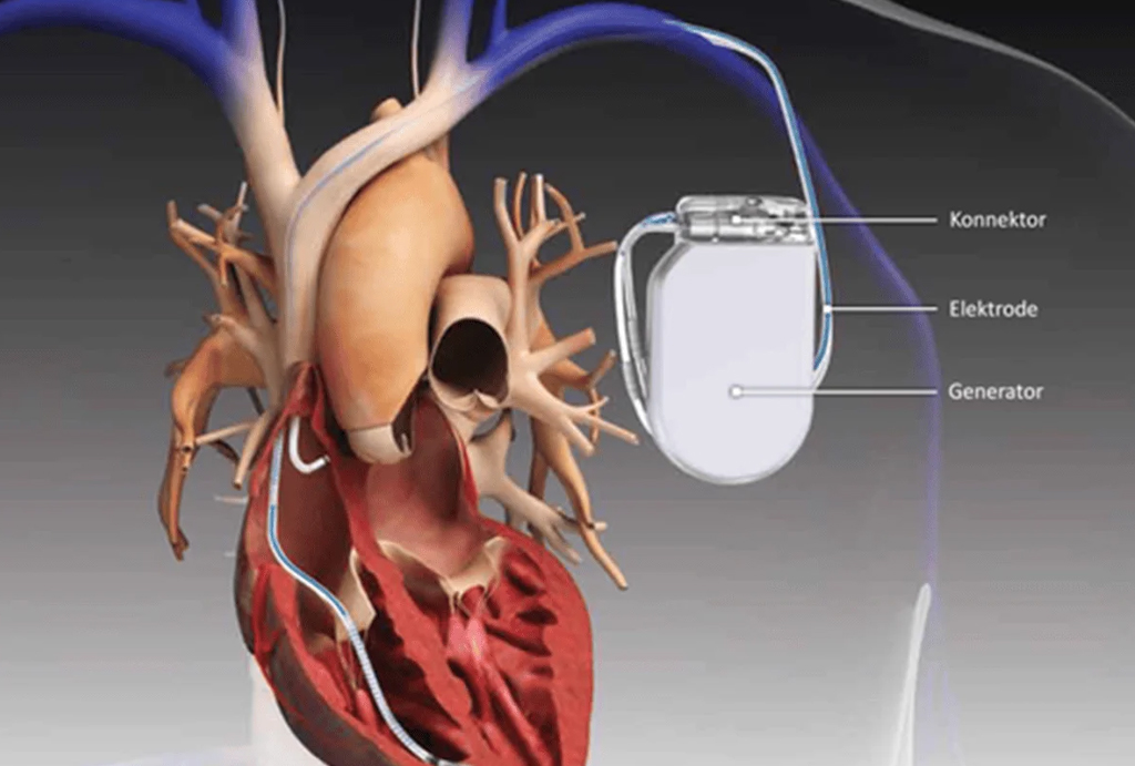 best hospital in jaipur|Gadhwal Heart & General Hospital