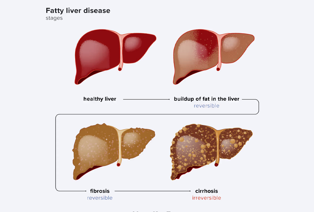 best hospital in jaipur|Gadhwal Heart & General Hospital